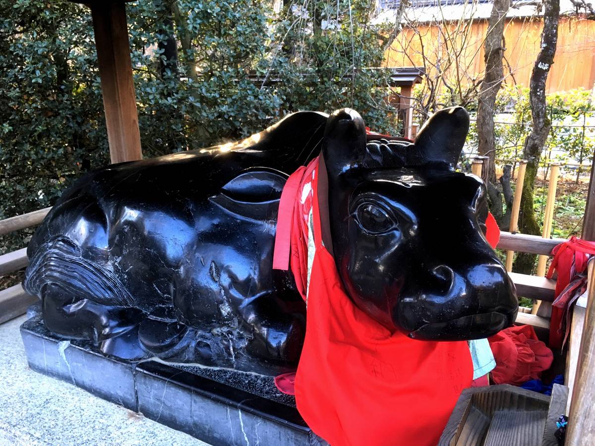 A glossy black stone ox statue draped in red cloths.