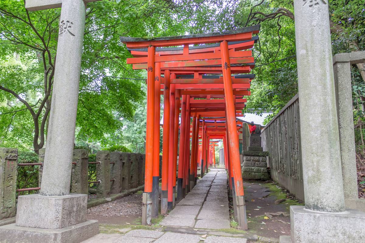 A stone path lined with numerous bright red torii gates, flanked by stone pillars and green trees.