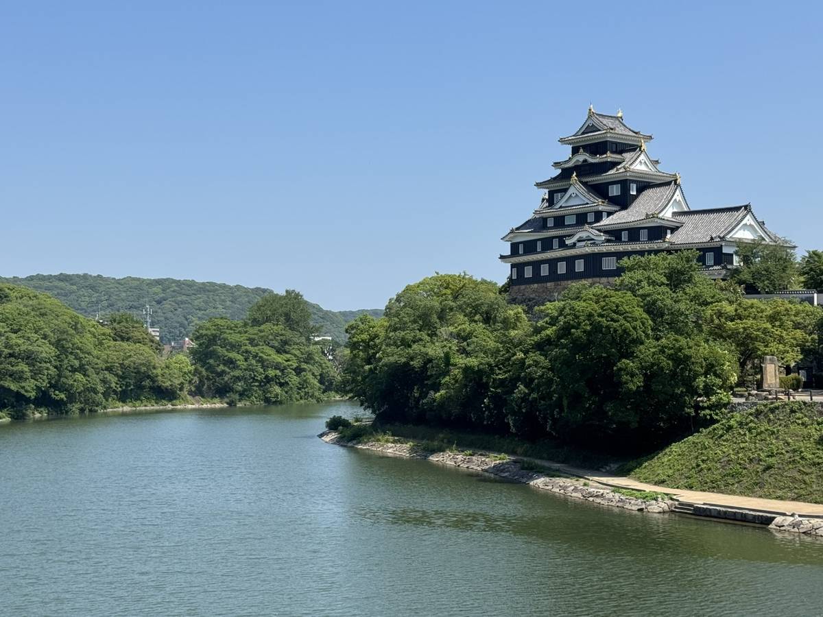 A black and white Japanese castle on a forested hill overlooks a wide river under a clear blue sky.