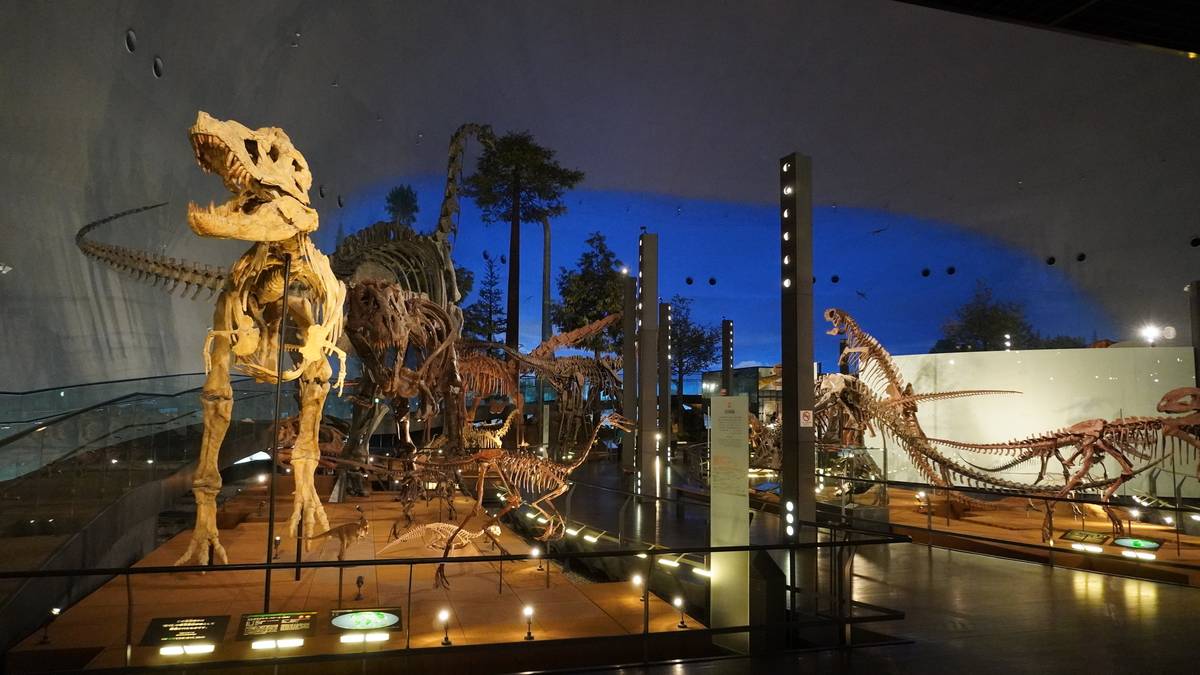 A dimly lit museum exhibit featuring multiple dinosaur skeletons, with a large T-Rex in the foreground.