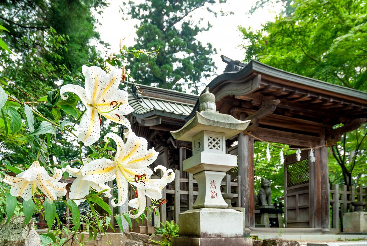 青梅市