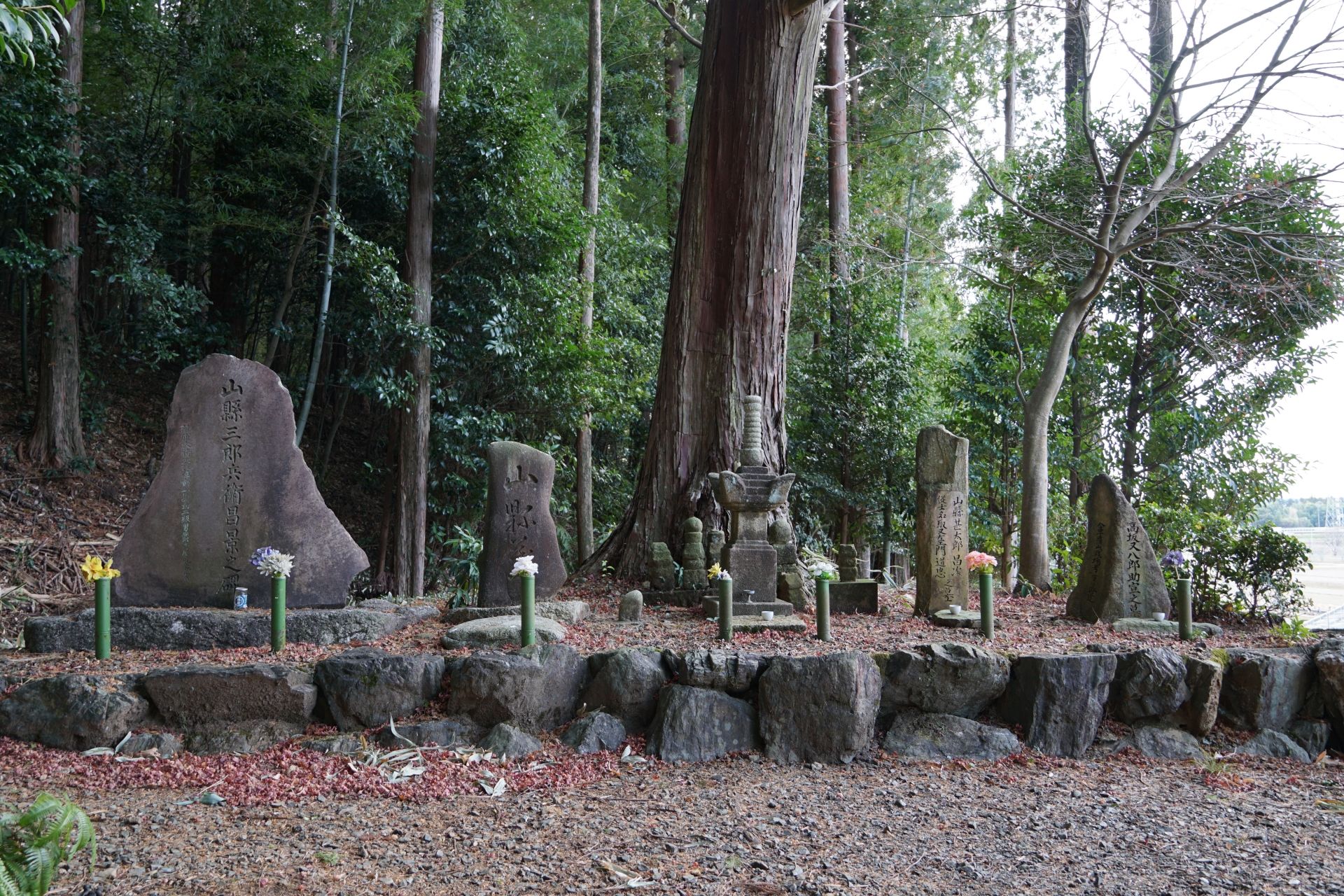 Nagashino area