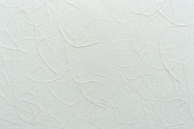 阿波和紙 craft