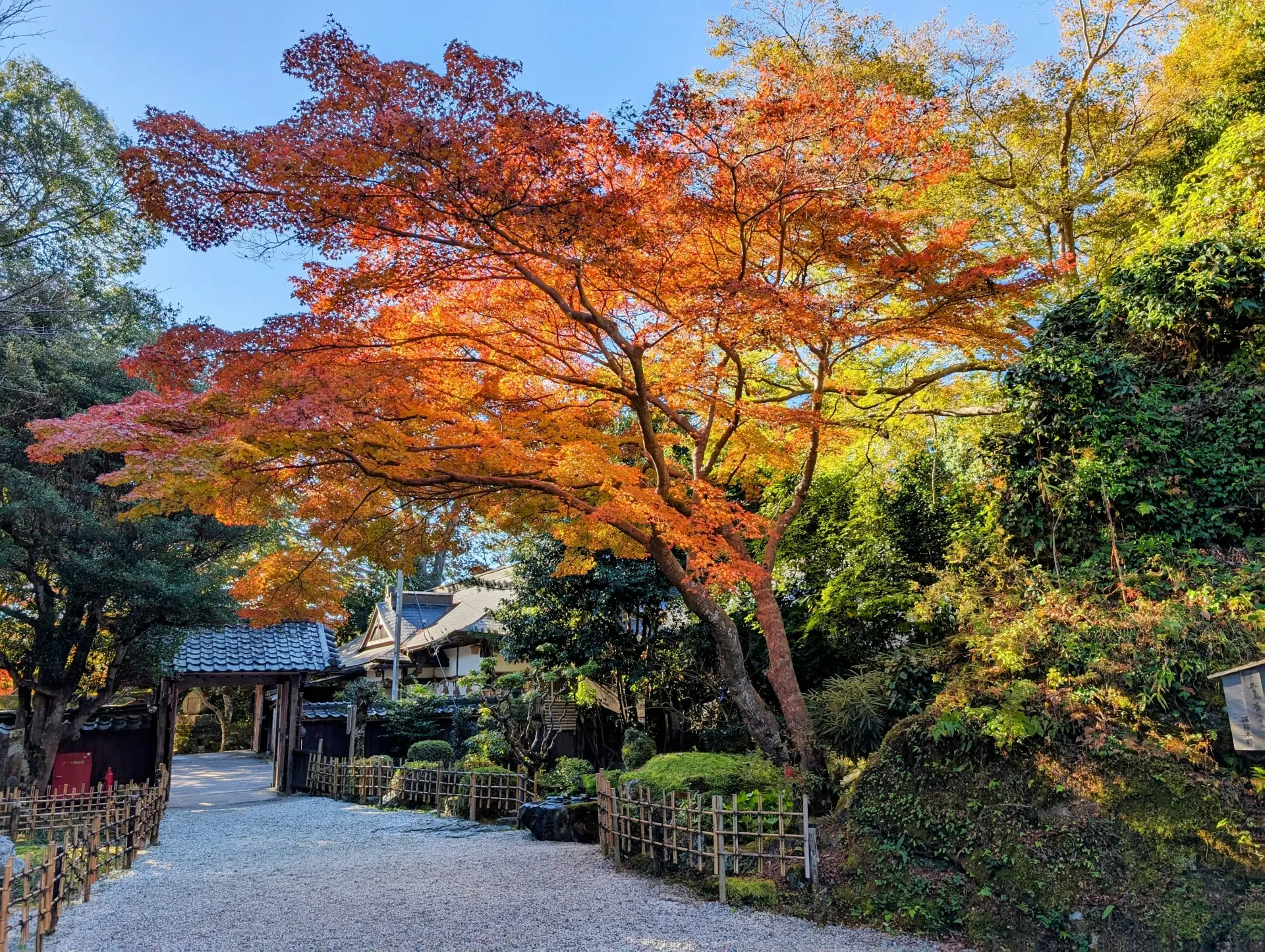A gravel path in a Japanese garden leading to a traditional gate and building