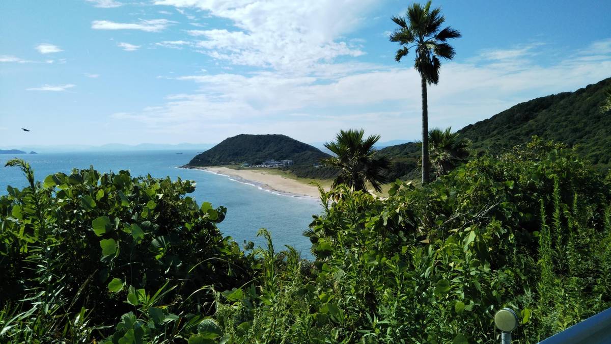 View of a sandy beach and blue bay, framed by lush green foliage, hills, and palm trees.