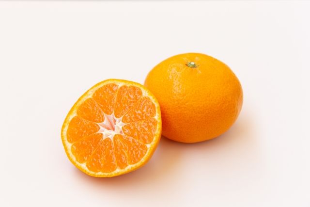 Unshu Mikan specialty food