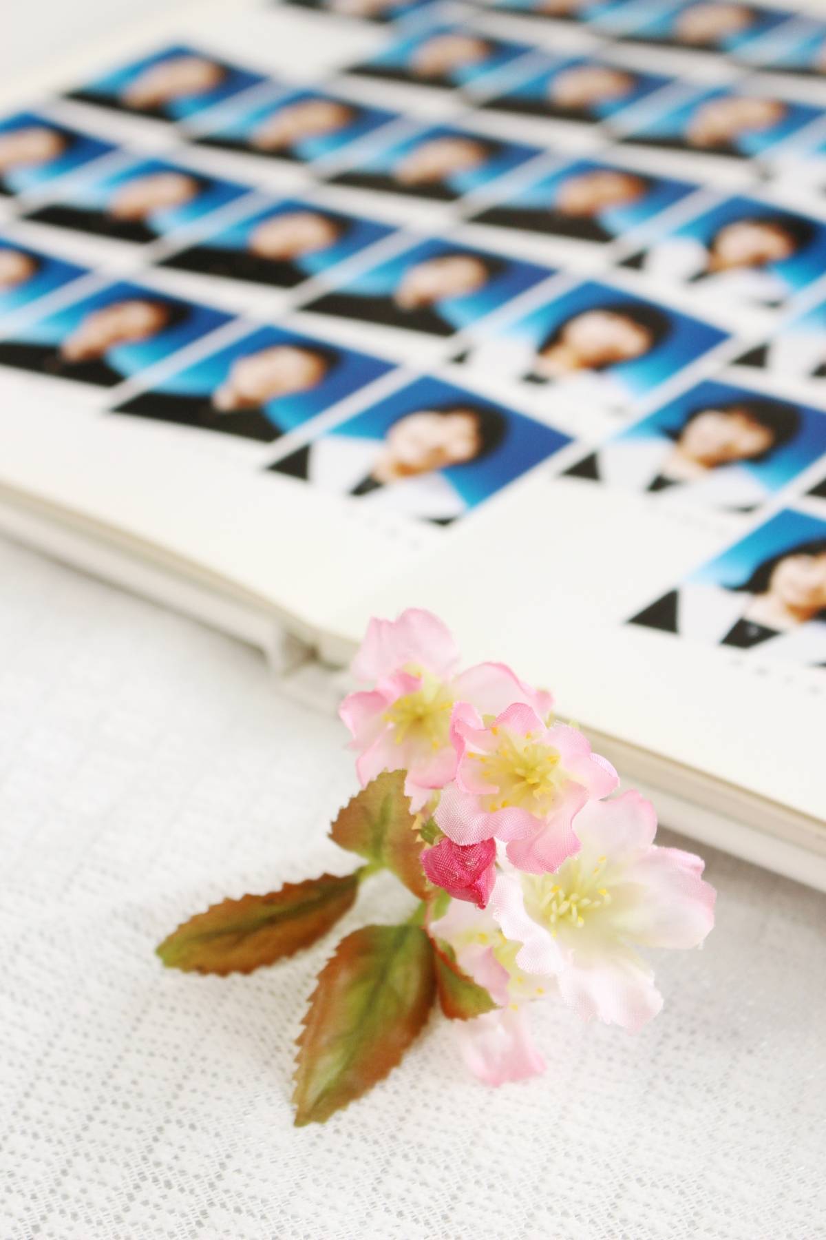 Pink flowers in front of an open photo album filled with small portraits.