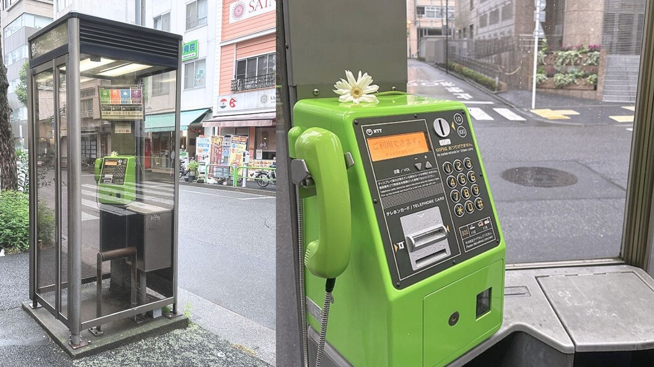 A bright green public telephone with a white flower on top sits inside a glass phone booth on a city street