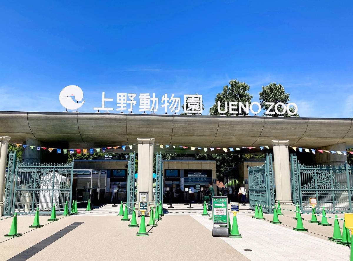 Entrance to Ueno Zoo with a large sign displaying "上野動物園 UENO ZOO," decorative gates, and green cones lining the path.