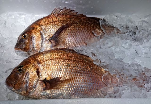Farmed Sea Bream specialty food