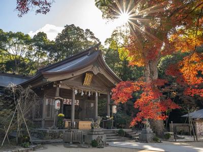 宝満宮竈門神社