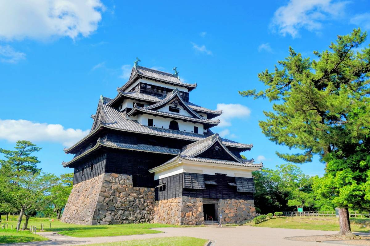 Black and white multi-tiered Matsumoto Castle on a stone base, surrounded by green trees under a bright blue sky.