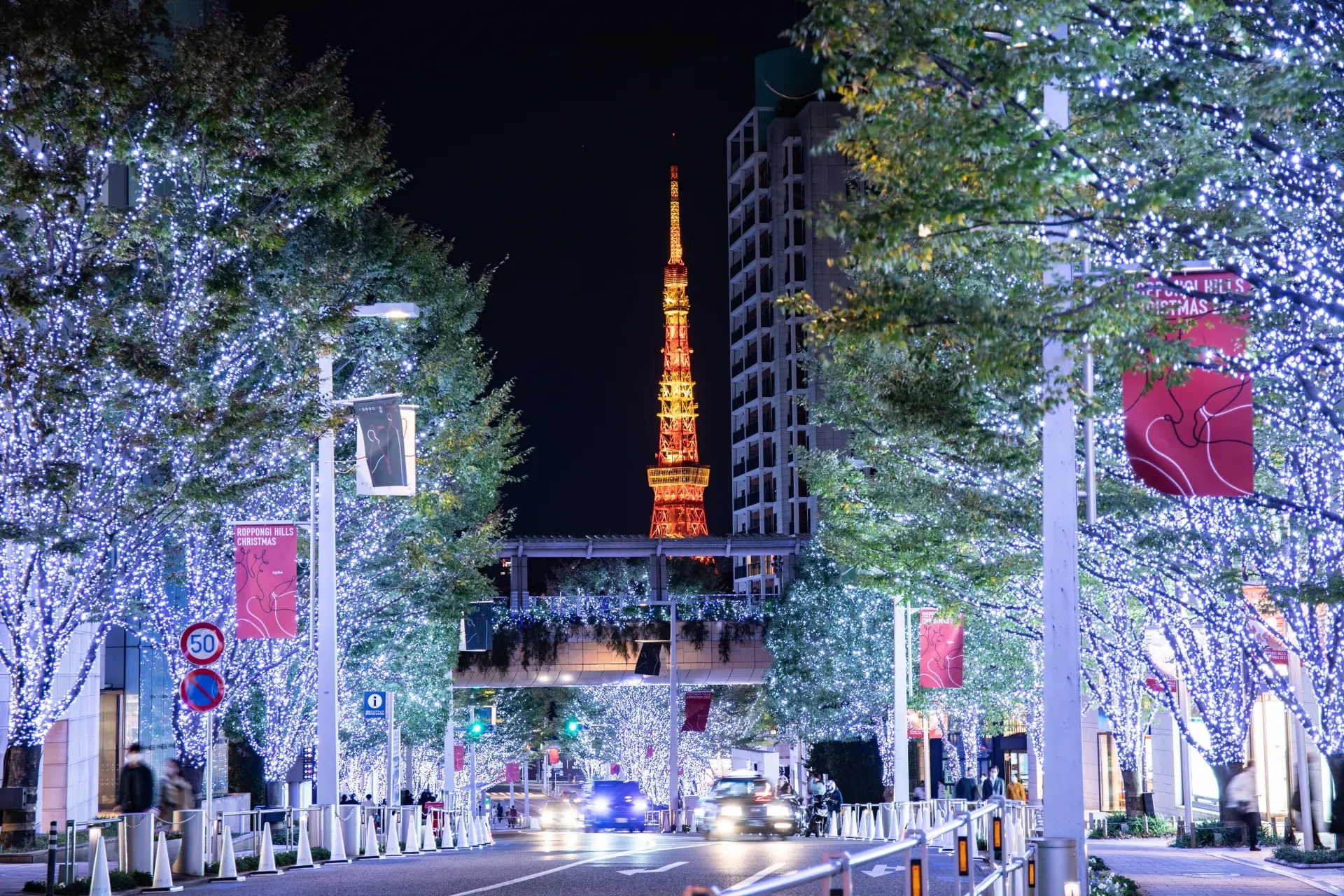 Street lined with blue-lit trees and the Tokyo Tower visible in the background at night.
