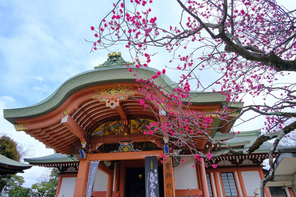 A traditional Japanese temple with a red-orange facade and green roof, framed by branches of bright pink blossoms.