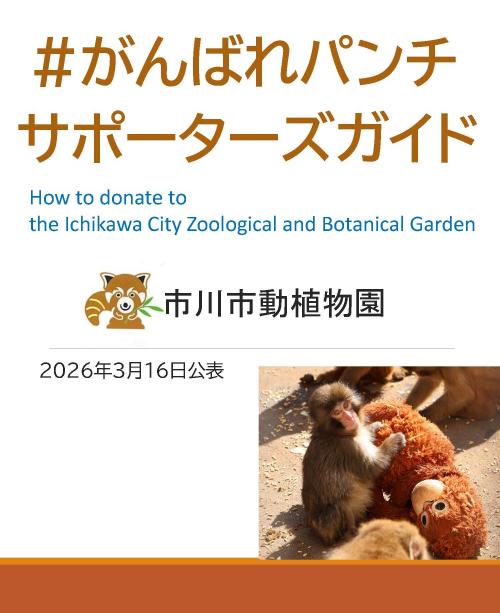SNSで大人気の「パンチくん」とは？日本国内で発信された情報まとめ