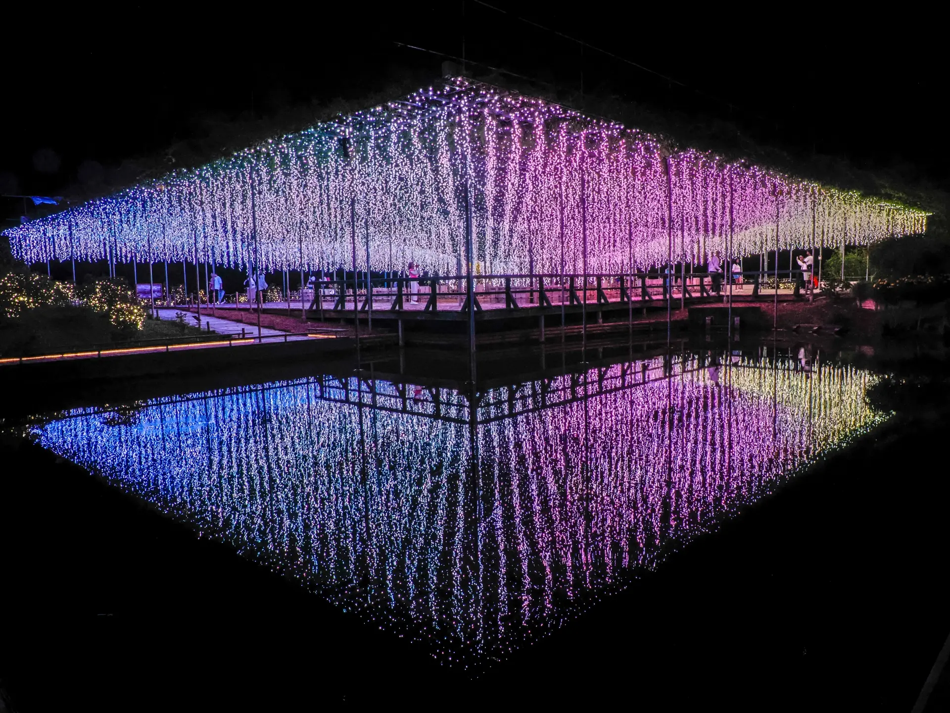 A wisteria-like canopy of hanging blue, purple, and yellow string lights reflects perfectly in still dark water