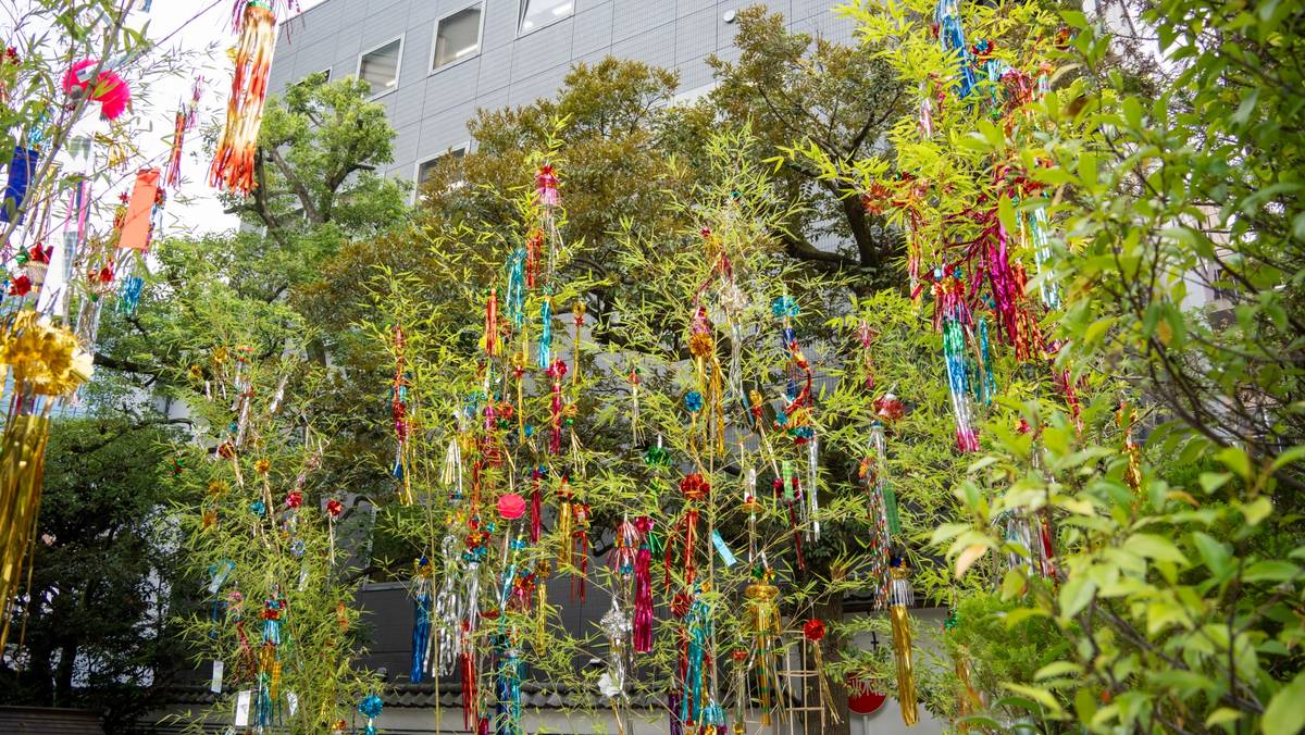 Trees adorned with colorful Tanabata decorations and streamers, with a building in the background.