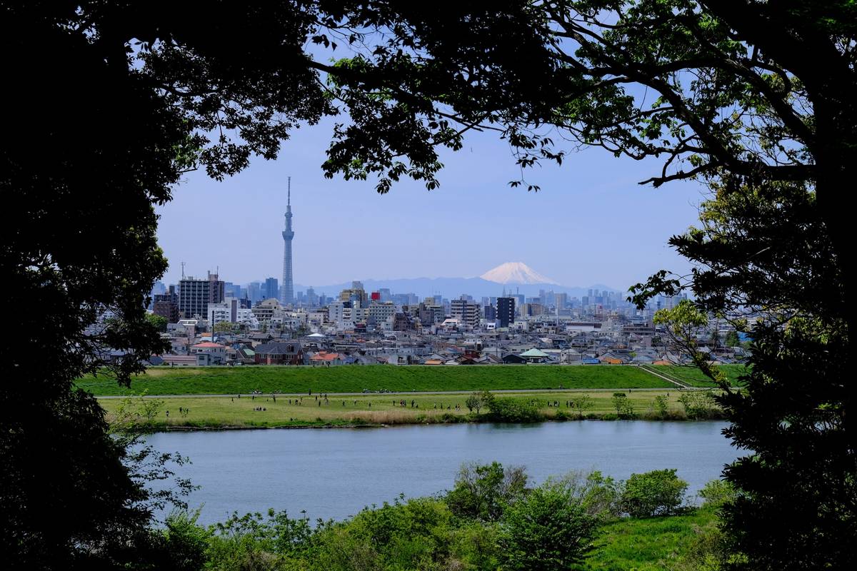 Tokyo Skytree and snow-capped Mount Fuji rise above a city and river, framed by trees.