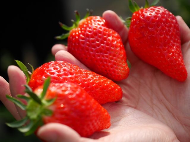 Strawberries specialty food
