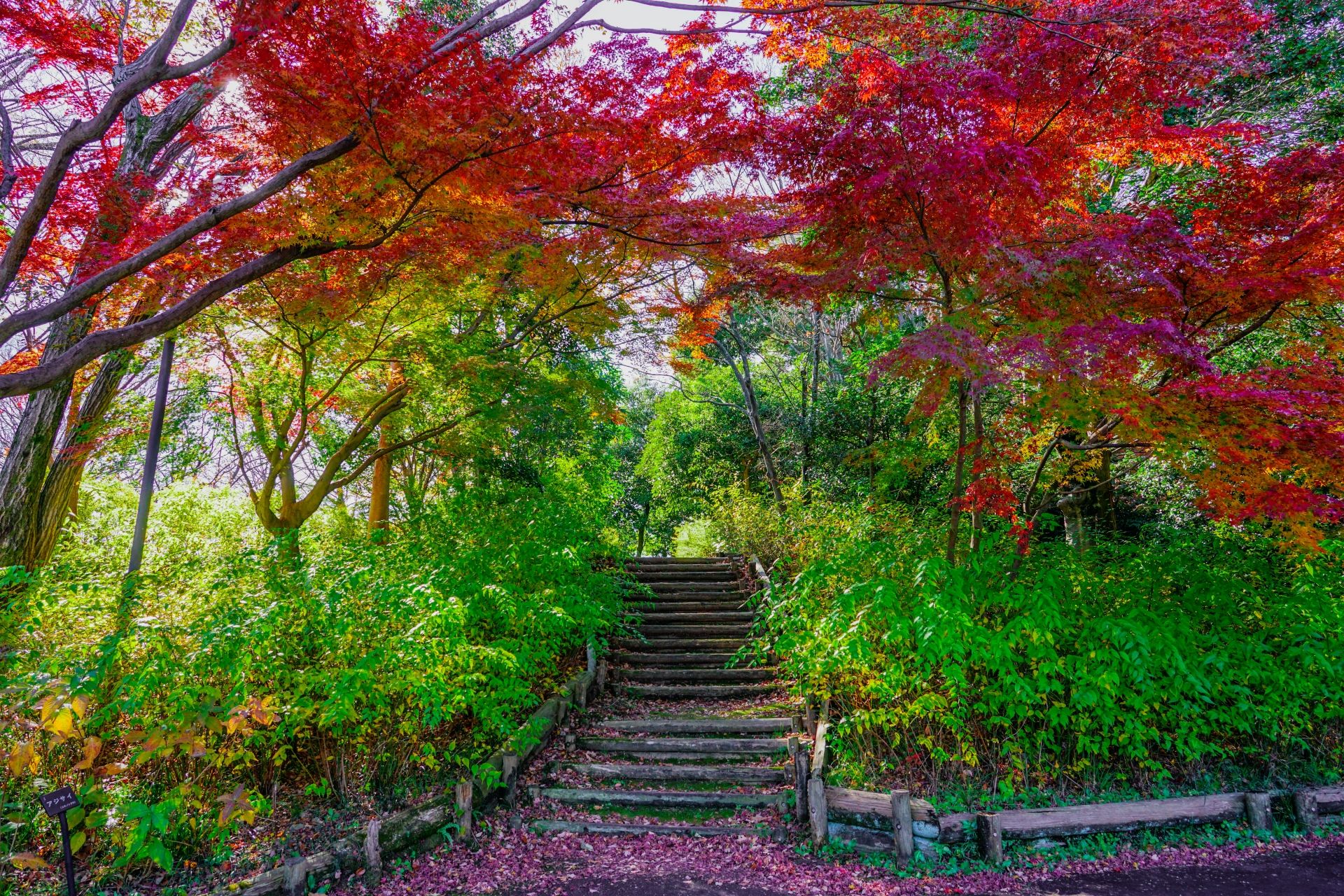 Fuchu area