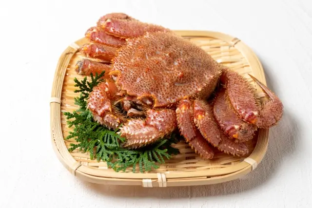 Kegani (Horsehair Crab)