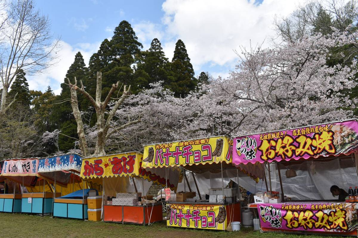 Colorful food stalls with Japanese banners under blooming cherry blossom trees.