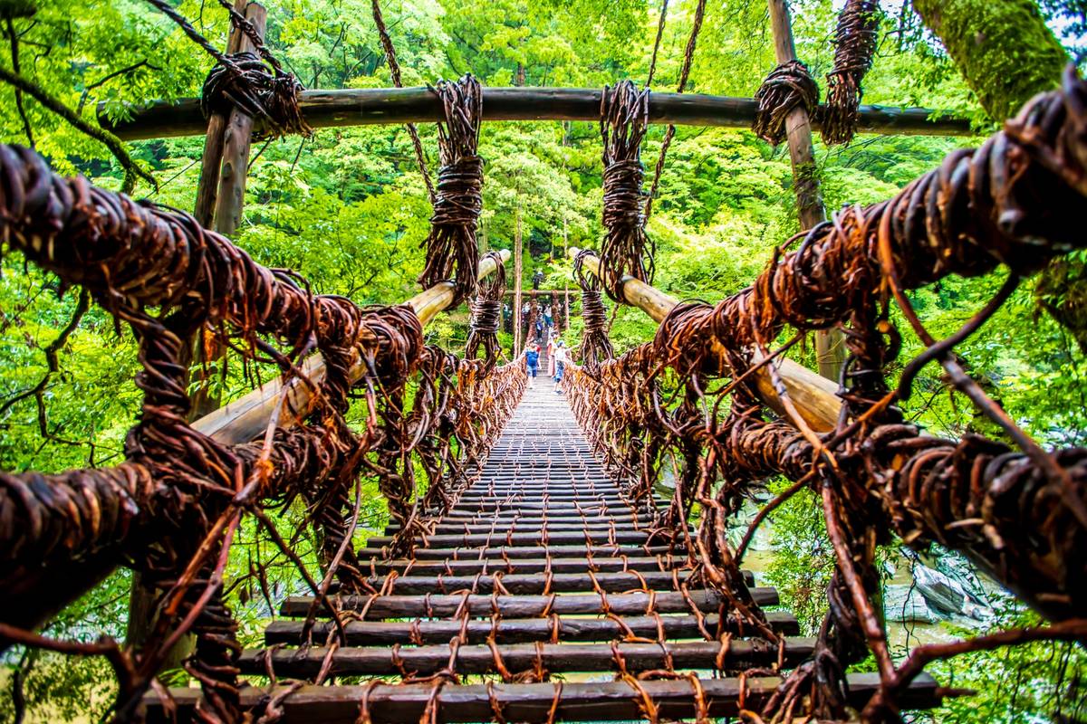 Rustic vine and wood suspension bridge spanning a lush green forest.