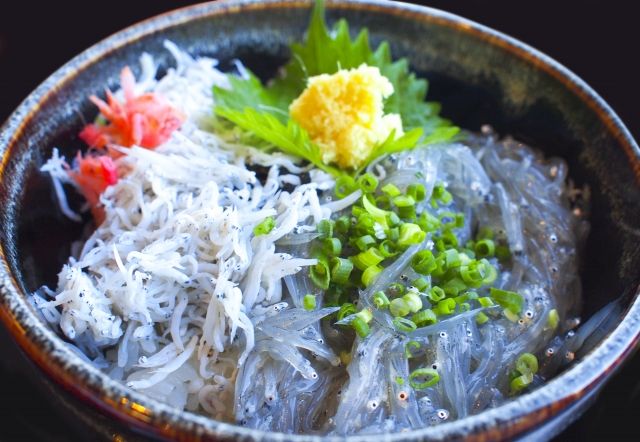 Shirasu (Whitebait) specialty food