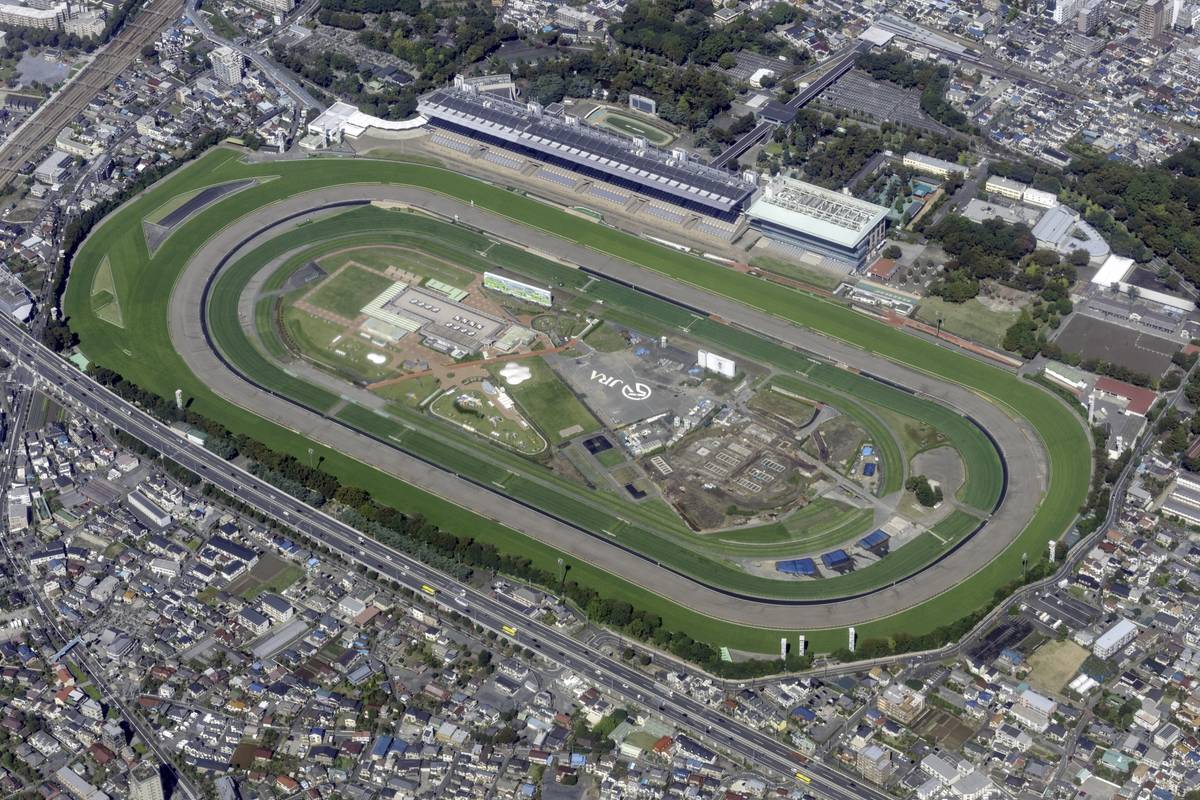 Aerial view of an oval horse racing track with grandstands, surrounded by urban development.
