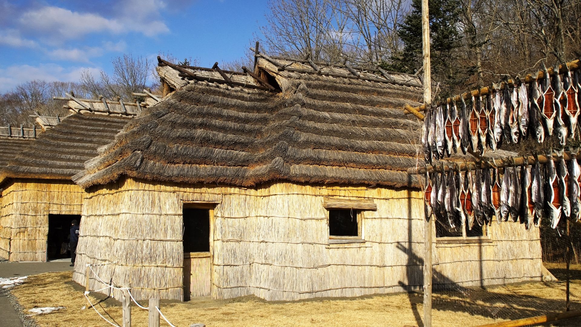 Traditional thatched-roof houses with fish drying on outdoor racks.