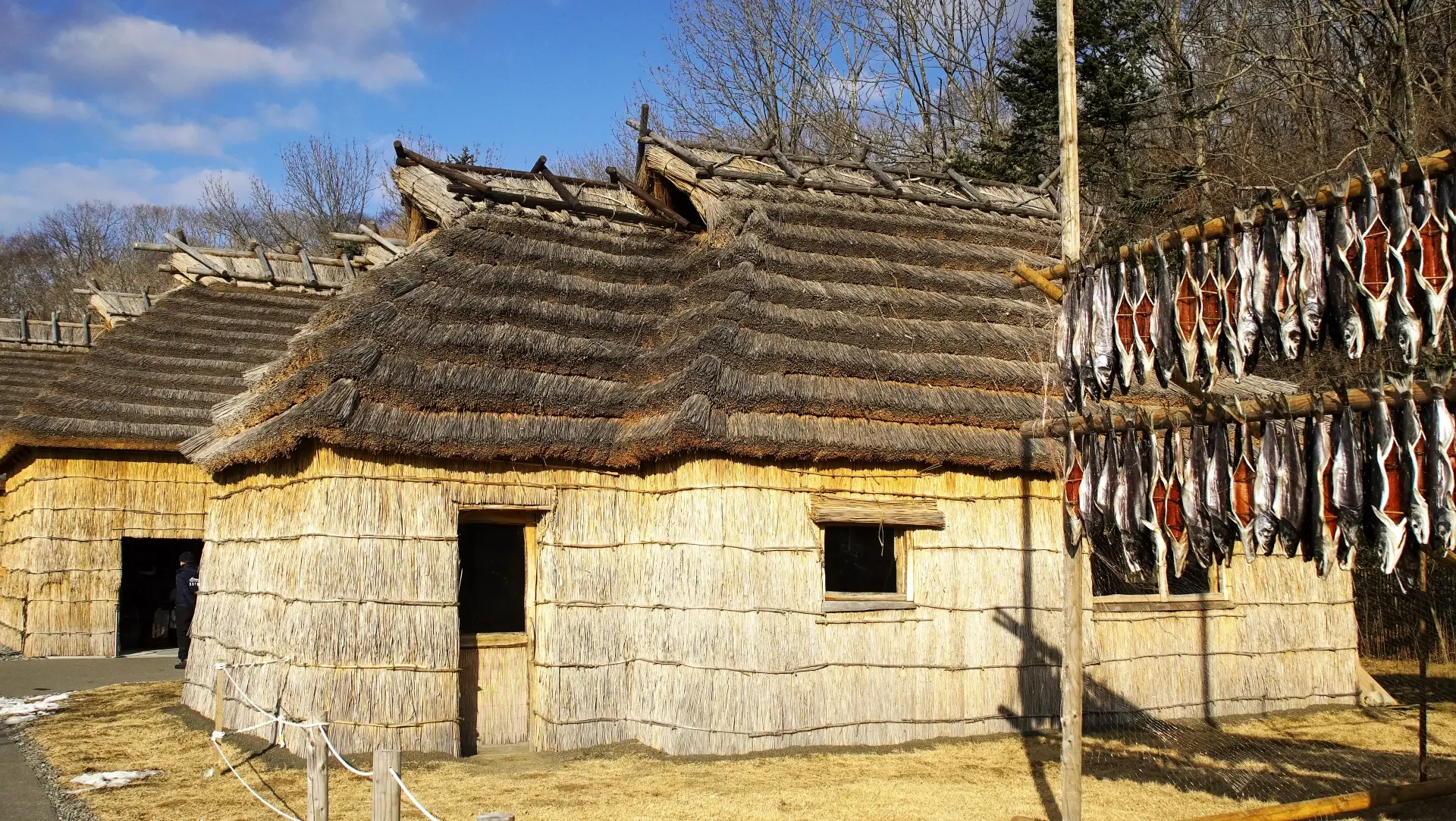 Traditional thatched-roof houses with fish drying on outdoor racks.