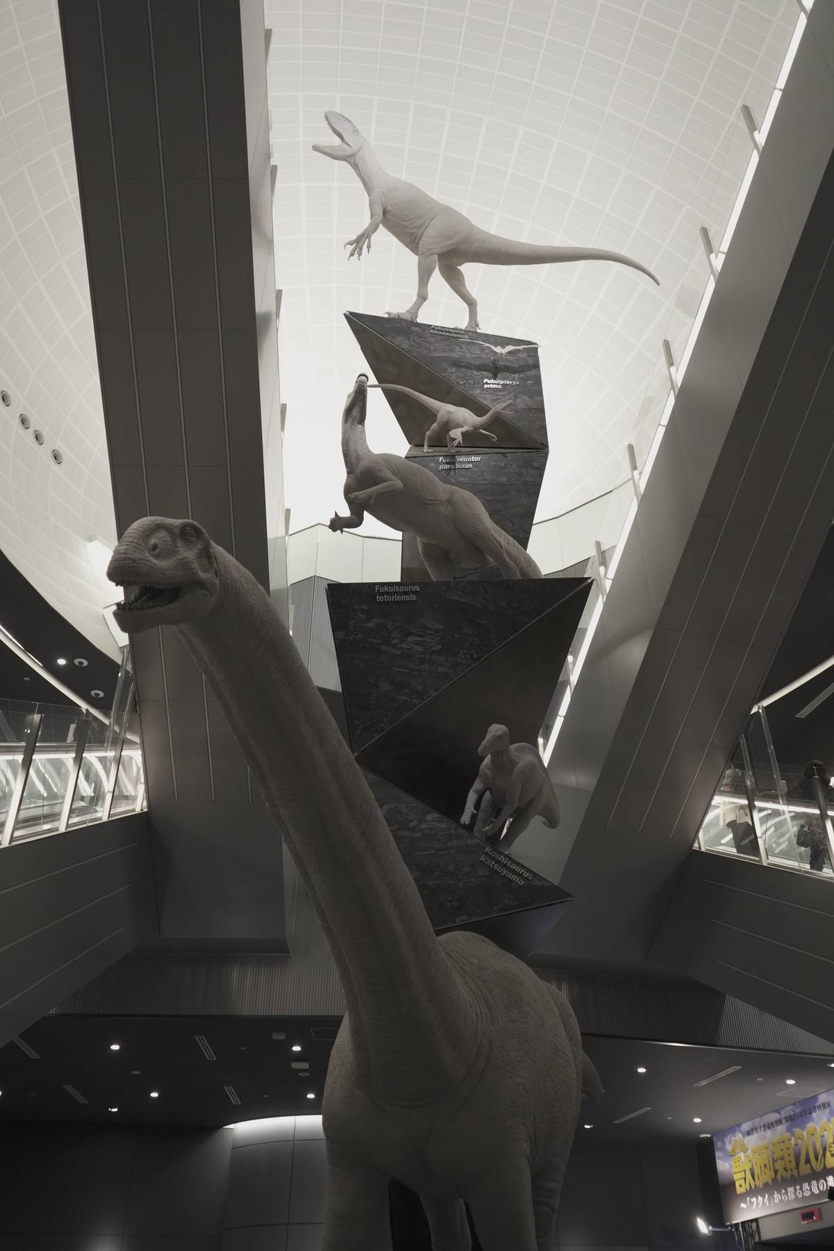 Grayscale exhibit of dinosaur models, including a large long-necked sauropod, smaller bipedal dinosaurs, and a pterosaur, displayed on tiered platforms within a modern, high-ceilinged building.