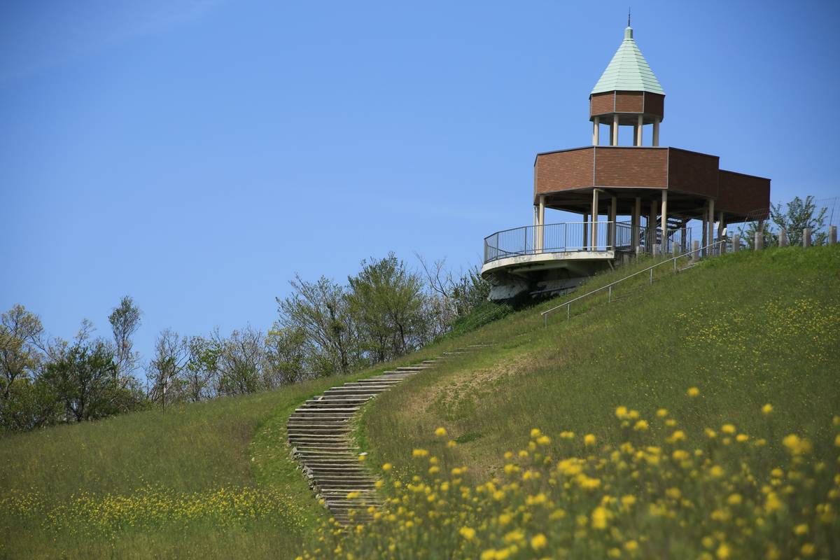 A brick and wood observation tower with a green roof stands on a grassy hill, with wooden steps leading up and yellow flowers in the foreground.