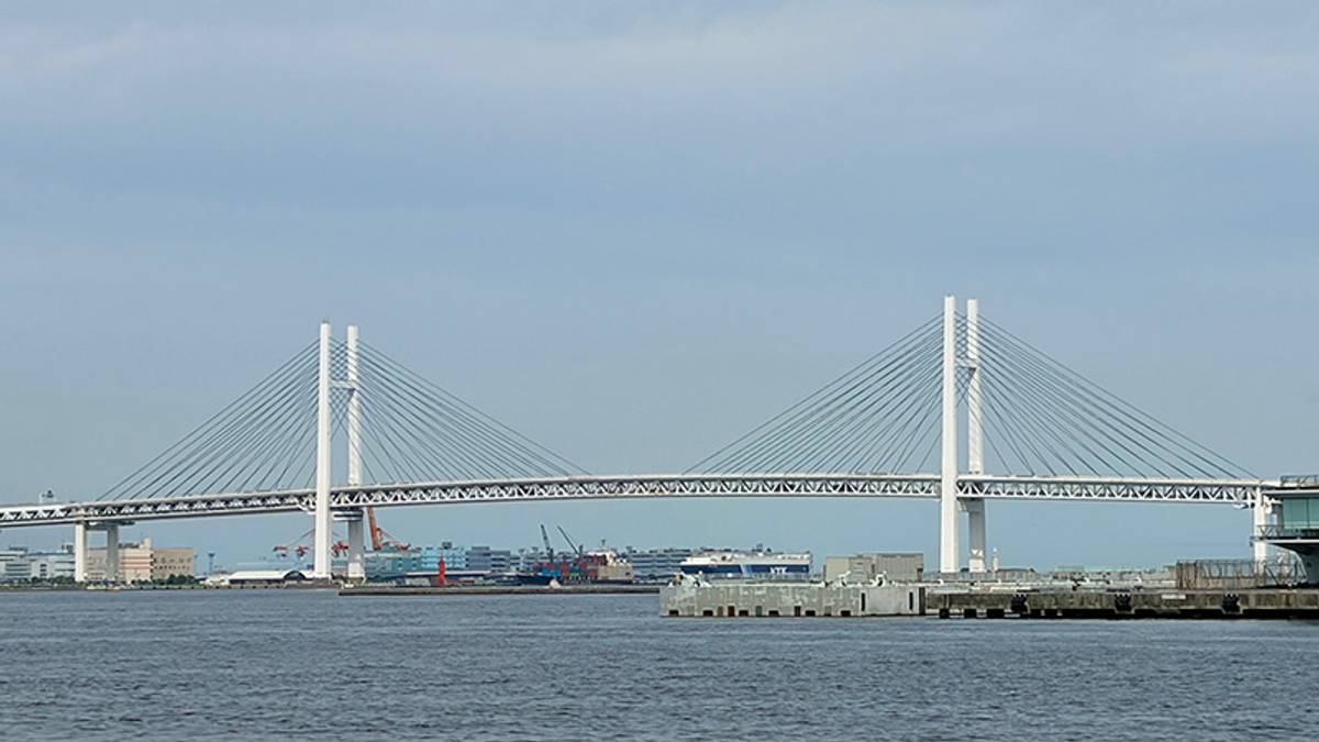 A white cable-stayed bridge over water, with a port city in the background.