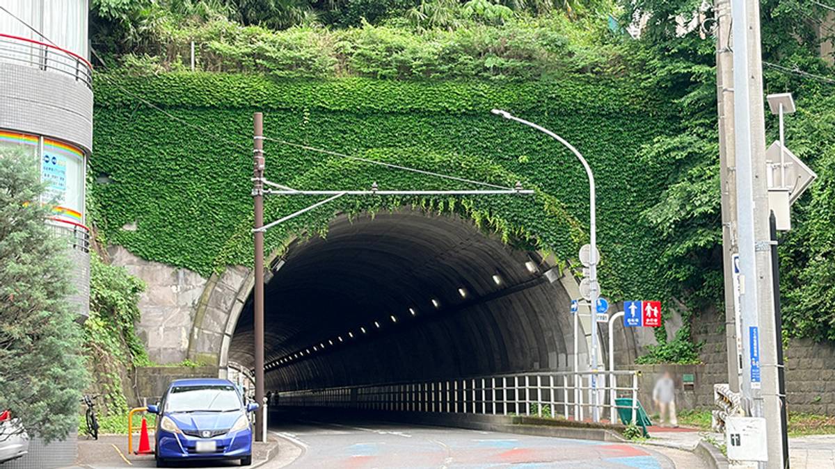 A road tunnel entrance heavily covered in green ivy, with a blue car parked to the left.