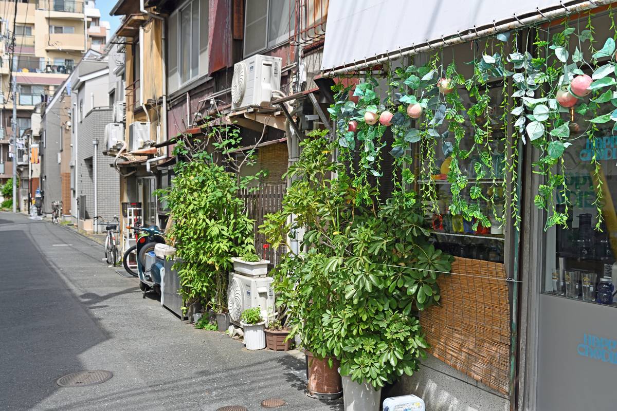 A narrow urban street with buildings, parked bicycles, and a storefront on the right decorated with hanging green plants and pink faux apples.