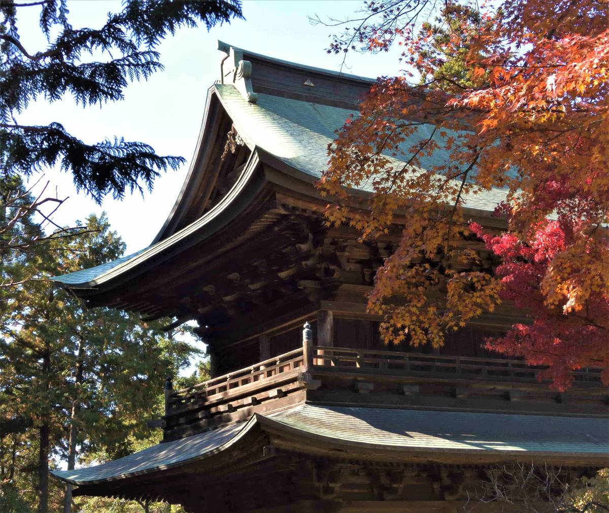 Traditional multi-tiered wooden temple with curved green roofs, framed by red and orange autumn leaves.
