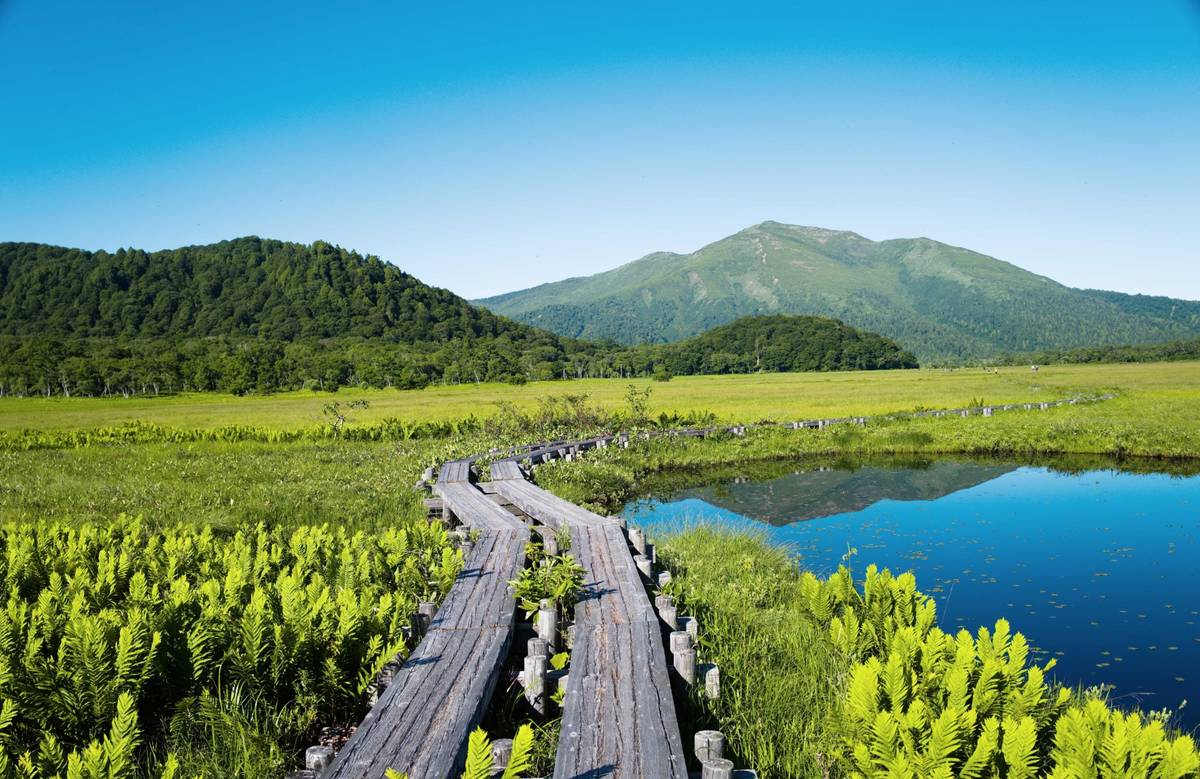 A wooden boardwalk winds through a vibrant green marshland with a lake reflecting mountains under a clear sky.