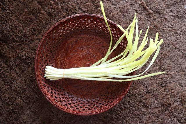 Ki-nira (Yellow Chinese Chives) specialty food