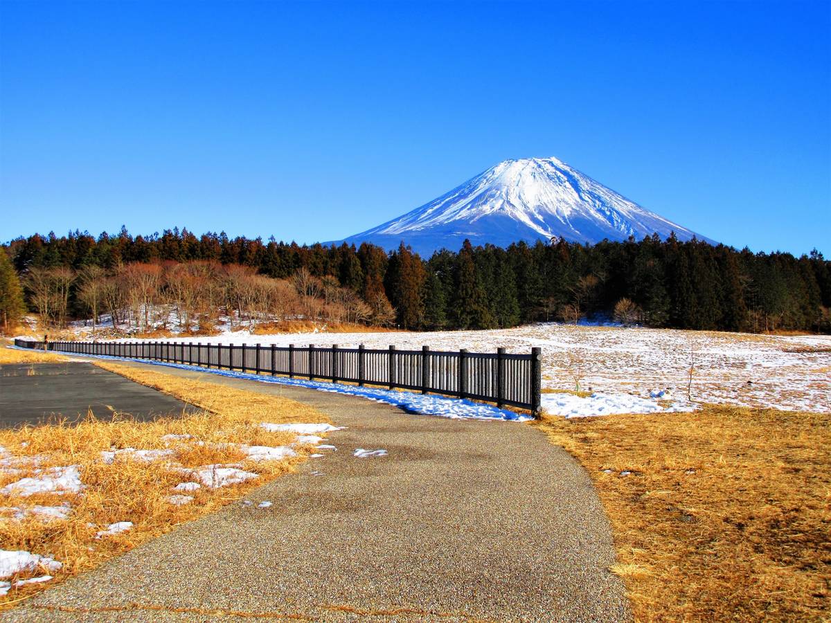 A snow-capped Mount Fuji rises above a forest, with a fence-lined path and fields of dry grass and snow in the foreground.