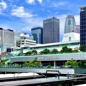 Shinjuku Station