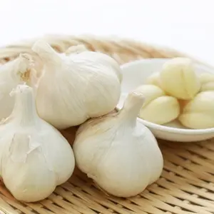 Garlic
