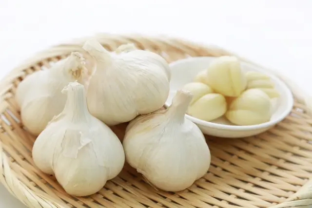 Garlic