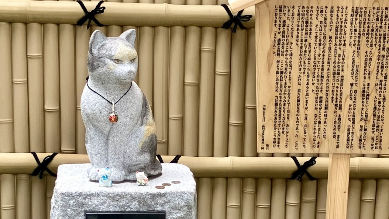 A speckled stone cat statue with a pendant necklace sits on a stone pedestal with small offerings