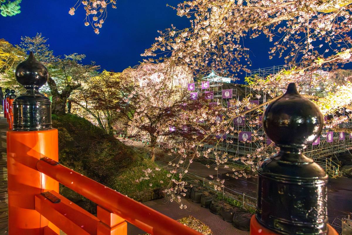 Night scene of illuminated cherry blossoms, a distant castle, and a red bridge railing.