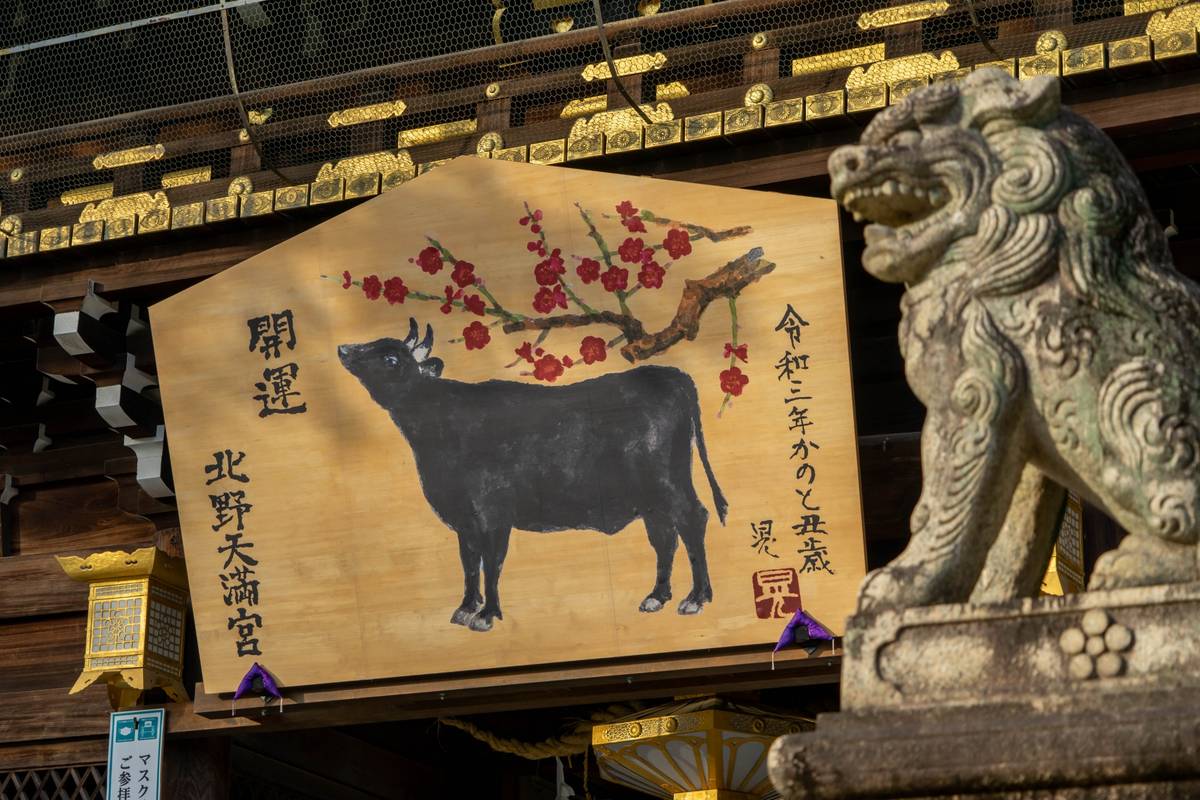 A wooden ema depicting a black ox and plum blossoms, with a stone komainu in the foreground at a Japanese shrine.