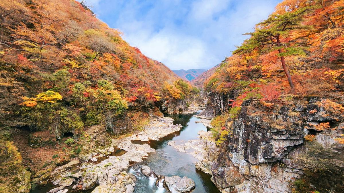 Nikko