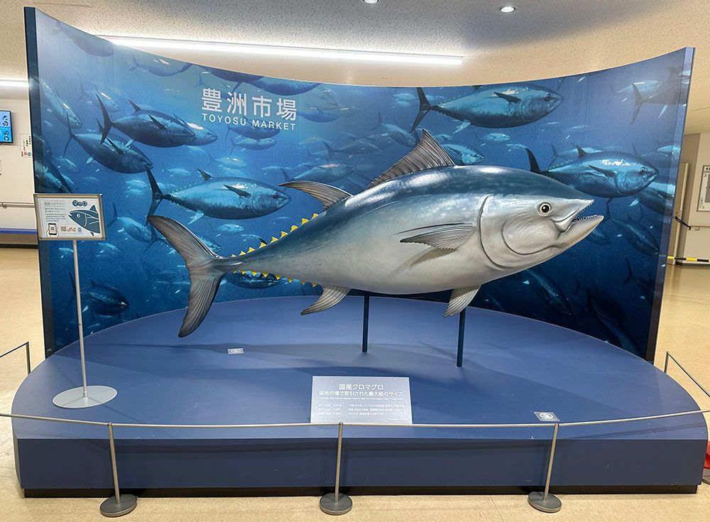 A large tuna statue displayed in front of a mural depicting a school of tuna and "Toyosu Market" text.
