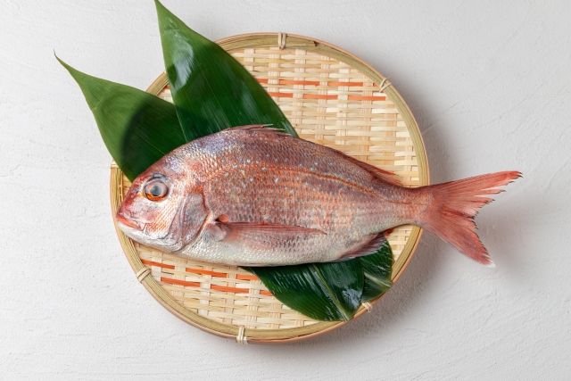 真鯛 specialty food