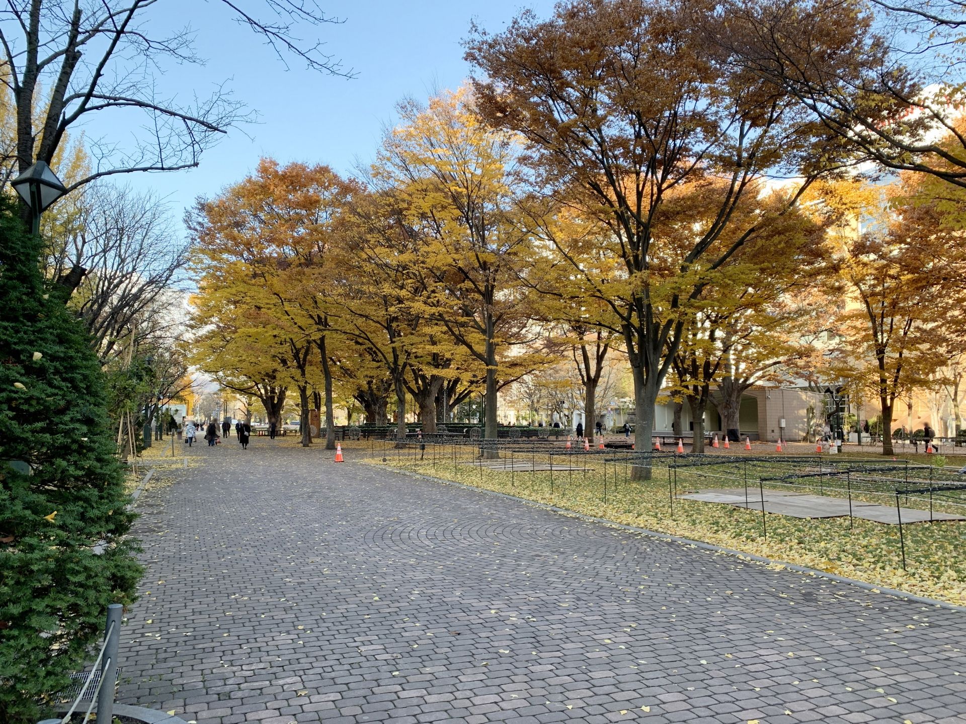 A paved path in autumn, flanked by trees with bright yellow and orange leaves and fallen leaves on the ground.